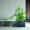 Blumenkasten Blumentopf Balkonkasten Einsatz 58x18x50 cm Produktbild-Vorschau 8