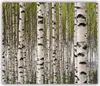 Tulup Glas-Herdabdeckplatte - 2x30x52cm - Produktbild-Vorschau 1