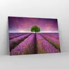 Bilder auf glas - Wiese lavenda Sommer Landschaft - Produktbild-Vorschau 4