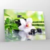 Bilder auf glas - blume orchidee - 100x70cm - Glasbilder - Produktbild-Vorschau 4