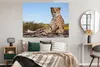 MuchoWow® Poster Leopard - Tiere - Natur 160x120 cm - Foto Produktbild-Vorschau 4