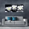Acrylglasbilder 125x50 Wandbild Druck Blumen Steine Produktbild-Vorschau 3