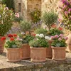 Teramico « Cilindro Cipressi » Pot de fleurs en terre cuite Voir les images du produit 6
