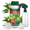 Veddelholzer 1000 ml Premium kaltgepresstes 100% Produktbild-Vorschau 1