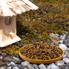 A bird is near a birdhouse and a bowl of birdseed. Produktbild-Vorschau