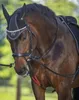 A close-up of a brown horse wearing a bridle and saddle, with a blurred green background. Produktbild-Vorschau