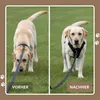 Hundegeschirr, Anti-Zieh-Geschirr, Anti-Zieh Hundegeschirr Produktbild-Vorschau 3