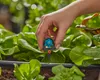 GARDENA 6-Flächen-Sprühdüse 2 Stück-1396-20 Produktbild-Vorschau 5