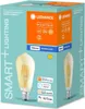 The image shows the retail packaging of a smart LED light bulb. Produktbild-Vorschau