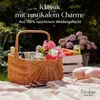 Creative Home Holländischer Picknick-Weidenkorb mit Griff | Produktbild-Vorschau 3