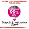 Royal Canin CCN MINI EXIGENT - sucha karma dla dorosłych Podgląd zdjęcia produktu 3