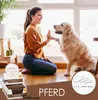 123... Hund dabei! - Kaurollen XXL 50er Tray Pferd - Produktbild-Vorschau 2