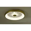 LED Deckenleuchte, messing, dimmbar, Fernbedienung, H 9,5 Produktbild-Vorschau 10