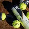 Wilson Tennisball "Roland Garros", All Court Produktbild-Vorschau 9