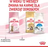 Royal Canin Kitten Sterilised, Kocięta, Drób, 3,5 kg Podgląd zdjęcia produktu 10