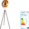 Globo Lighting stojacia lampa kovová hrdzavej farby, 1x E27 Náhľad obrázku produktu 2
