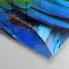 Bilder auf glas - Feder Papagei Vogel - 30x30cm - Produktbild-Vorschau 5