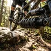 RockShox Feder Rockshox 650Lb 134 X 47,5-55 Mm Metric Produktbild-Vorschau 1