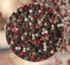 BUNTE PFEFFER 100G Natural Premium 4 SAAT Náhľad obrázku produktu 4