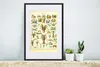 MuchoWow® Gerahmtes Poster Hummer - Tiere - Meerestiere - Produktbild-Vorschau 4