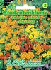 Studentenblume Starfire mixed | Studentenblumensamen von Produktbild-Vorschau 4