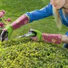 Lange Gartenhandschuhe für Damen, Arm- und Ellbogenschutz, Produktbild-Vorschau 2