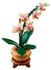 Mała orchidea Podgląd zdjęcia produktu 11