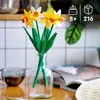 Narcisy Náhľad obrázku produktu 8