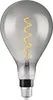 Osram Vintage 1906 Lampadina LED Luce calda comfort 1800 K Anteprima dell’immagine prodotto 7