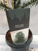 A small Araucaria araucana plant in a pot, with a label showing its name and an illustration of the tree. Produktbild-Vorschau