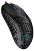 ENDORFY LIX, Beidhändig, Optisch, USB Typ-C, 8000 DPI, Produktbild-Vorschau 1