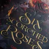 Six Scorched Roses (Crowns of Nyaxia) Produktbild-Vorschau 6