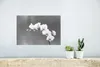 MuchoWow® Poster Orchidee - Blumen - Pflanze - Weiß - Lila Produktbild-Vorschau 5