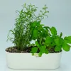 Kunststoff Pflanzschale Florenz weiß L 36 cm B 13.5 cm H 11 Produktbild-Vorschau 2