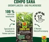 COMPO  11431 COMPO SANA Grünpflanzen- und Palmenerde, 10 l Podgląd zdjęcia produktu 5