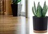 Prosperplast s.r.o. Vaso da fiori TUBO PM 10,8 cm, Anteprima dell’immagine prodotto 13