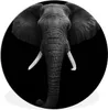 MuchoWow® Rundes Wandbild - Runde Bilder Elefant - Produktbild-Vorschau 1