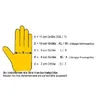 Handschuhe Griffy Gr.9 rot/naturfarben Produktbild-Vorschau 7