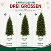 Triumph Tree Arbre de Noël artificiel Bristlecone Fir - Voir les images du produit 12