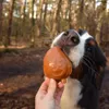 18 kusů á 7 cm - Garden Bites Fruity Friends - Náhled obrázku produktu 13