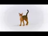 Schleich schleich® Farm World 13964 Abessinierkatze Produktbild-Vorschau 16