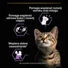 Purina Pro Plan Kitten Healthy Start 24x85g Produktbild-Vorschau 5