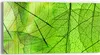 DEQORI Glasbild Echtglas 60x30 cm 'Transparente Produktbild-Vorschau 1
