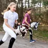 Steckenpferd Skippi. Das rotbraune Pferd an der Stange Produktbild-Vorschau 10