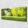 Tulup Leinwand-Bilder 125x50 Wandbild Canvas Kunstdruck Produktbild-Vorschau 2