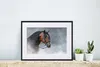 MuchoWow® MuchoWow® Gerahmtes Poster Pferd - Smoke - Produktbild-Vorschau 6