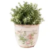 A potted plant with green foliage sits in a decorative ceramic pot with floral designs. Anteprima dell’immagine prodotto