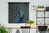 MuchoWow® Wandteppich Wandbehang Pfau - Federn - Farben Produktbild-Vorschau 2