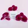 Leonor Greyl Maske Masks & Conditioners Masque à L'Orchidée Produktbild-Vorschau 7