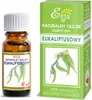 OLEJEK ETERYCZNY EUKALIPTUS 10 ml - ETJA Produktbild-Vorschau